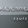 „Škoda“ paskelbė žinią, kurios visi ir tikėjosi