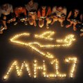 Bylą dėl MH17 katastrofos nagrinėjantis teismas kitą posėdį surengs lapkričio 3 dieną