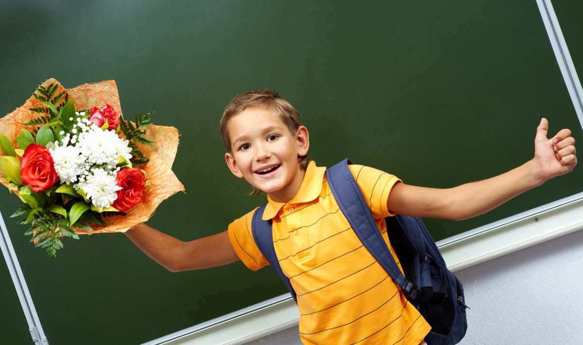 mokinys, mokykla,  berniukas, vaikas, lenta, gėlės, kuprinė