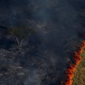 Berlynas ragina G-7 apsvarstyti ekstremalią padėtį gaisrų siaubiamoje Amazonijoje