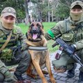 Priešų šuo ukrainiečiams tapo draugu: naujai tarnybai pasiruošęs Baksas jau supranta komandas jų kalba