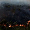Bolsonaro svarsto galimybę siųsti kariuomenę degantiems Amazonės miškams gesinti