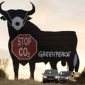 „Greenpeace“ aktyvistai neleido iškrauti anglies Gdansko uoste