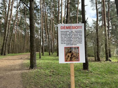 Vilniuje dėl nuošliaužos uždaryta Plikakalnio atodangos aikštelė