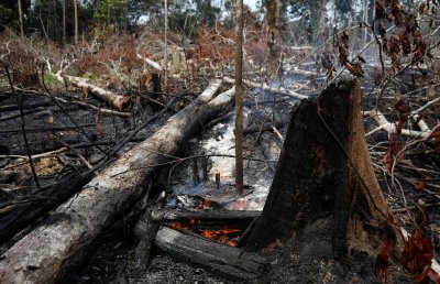 Amazonės gaisrai