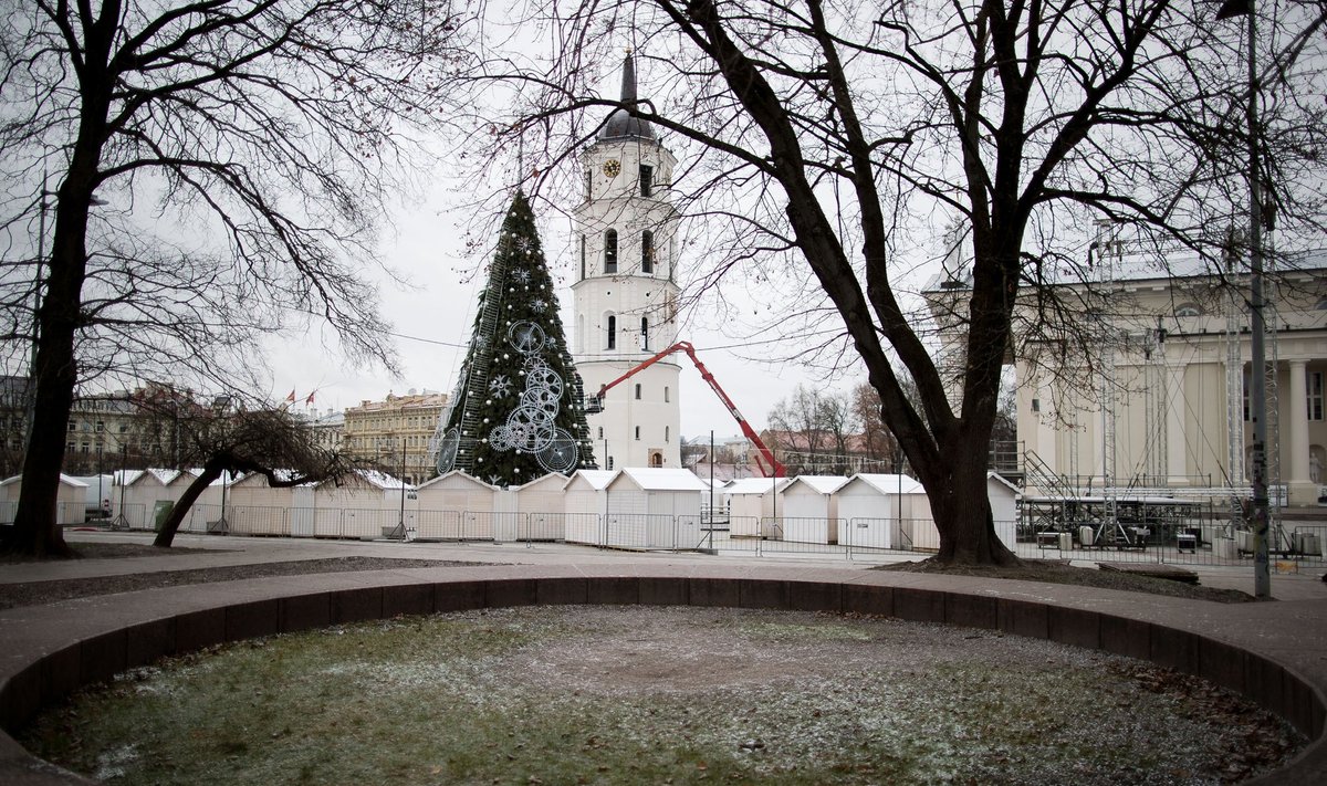 Vilniaus miesto Kalėdų eglė