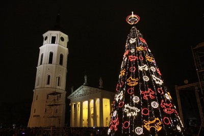 Vilnius, 2013 m. gruodžio 4 d. (ELTA). Kalėdų eglė Katedros aikštėje. Gedimino Savickio (ELTA) nuotr