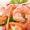 Shrimp farming to be launched in Klaipėda