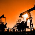 Geologas: Lietuvos naftos ištekliai – ant išsekimo ribos