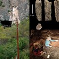 Urve Sibiro gilumoje archeologai rado paslaptingų žmonių protėvių kaulus, šalia jų – kruvinos kovos už išlikimą pėdsakai