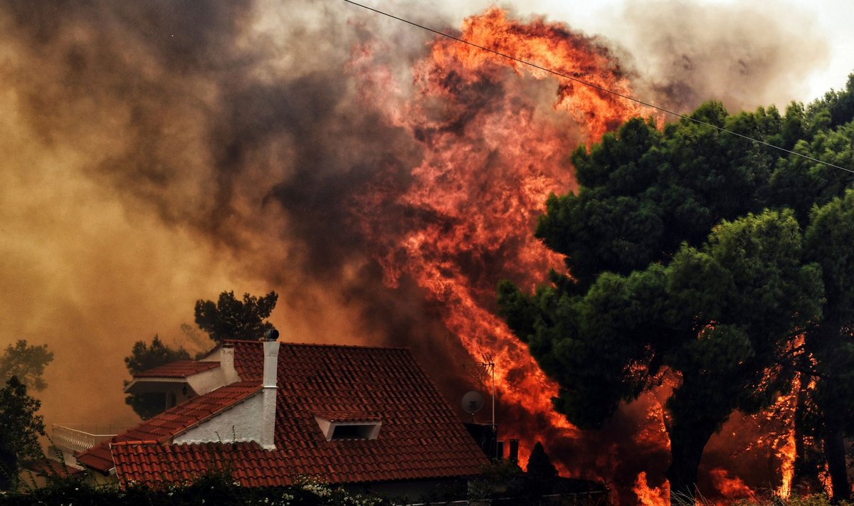 Miškų gaisrai Graikijoje pražudė 20 žmonių