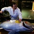 Pirmajame šiemet žuvų aukcione Tokijuje - tunas už 31 tūkstantį eurų