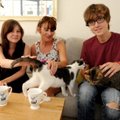 Britai moka pinigus, kad galėtų kelias valandas pabūti su katėmis