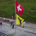 Tūkstančiai Šveicarijos Alpėse besiganiusių karvių iš viršutinių ganyklų pamažu nusileido į esančias žemiau
