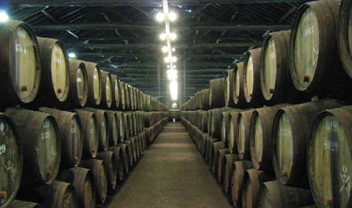 Vyno rūsiai, Portugalija, vynas