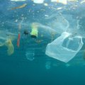 5 aplinkai draugiškų pakuočių tendencijos: nuo vienalyčio plastiko iki visiško jo atsisakymo
