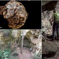 Seniausiame atkastame kape – archeologus sukrėtęs radinys: tik žmogus taip gali pasielgti su mirusiuoju