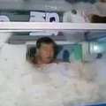 Kinas ledo konteineryje išbuvo 108 minutes