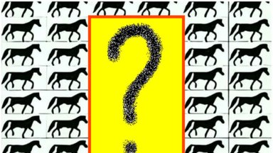 Optinė iliuzija patiems pastabiausiems: suraskite arklį be uodegos vos per 5 sekundes