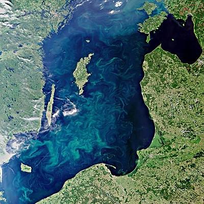 Europos kosmoso agentūros satelitų užfiksuotas dumblių žydėjimas. Nuotraukoje matyti mėlynai žali dumbliai