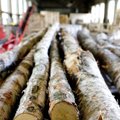Eksportuojamą medienos žaliavą siūloma apmokestinti 15 proc.