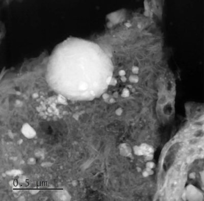 Ryugu serpentino ir geležies oksido mineralai pri mikroskopą. JAXA/EPA/NASA/Goddard/University of Arizona nuotr.