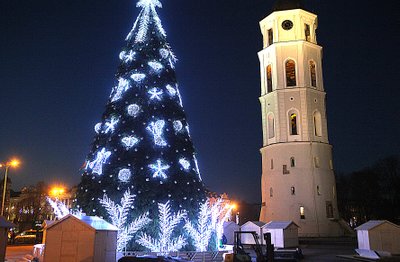 Vilnius, 2014 m. gruodžio 4 d. (ELTA). Kalėdų eglė - sostinės Katedros aikštėje. Dainiaus Labučio (ELTA) nuotr.