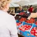 Siūlo grąžinti tikrą pomidoro skonį naudojant GMO