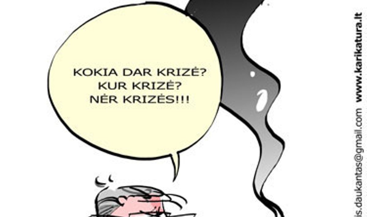 Gediminas Kirkilas, krizė, ekonomika, karikatūra