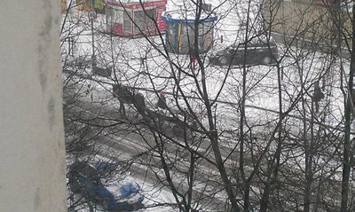 Vadeliotoja Vilniuje, Baltupiuose, Didlaukio gatvėje, sausio 10 d.