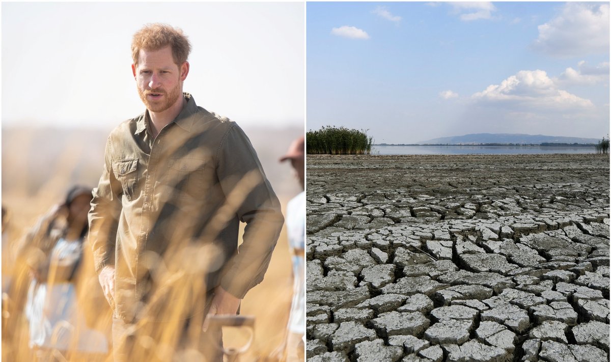Princas Harry palaiko Thunberg: pasiteisinimo neigti klimato kaitą nėra, nes mokslas nepaneigiamas (DELFI montažas (Reuters / Scanpix) 