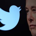 Twitter заблокировал аккаунты журналистов, освещавших деятельность Илона Маска