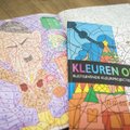 Nyderlanduose iš prekybos atšaukiamos vaikiškos spalvinimo knygelės su A. Hitlerio atvaizdu