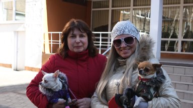 Дамы с собачками в Калининграде голосовали за Прохорова