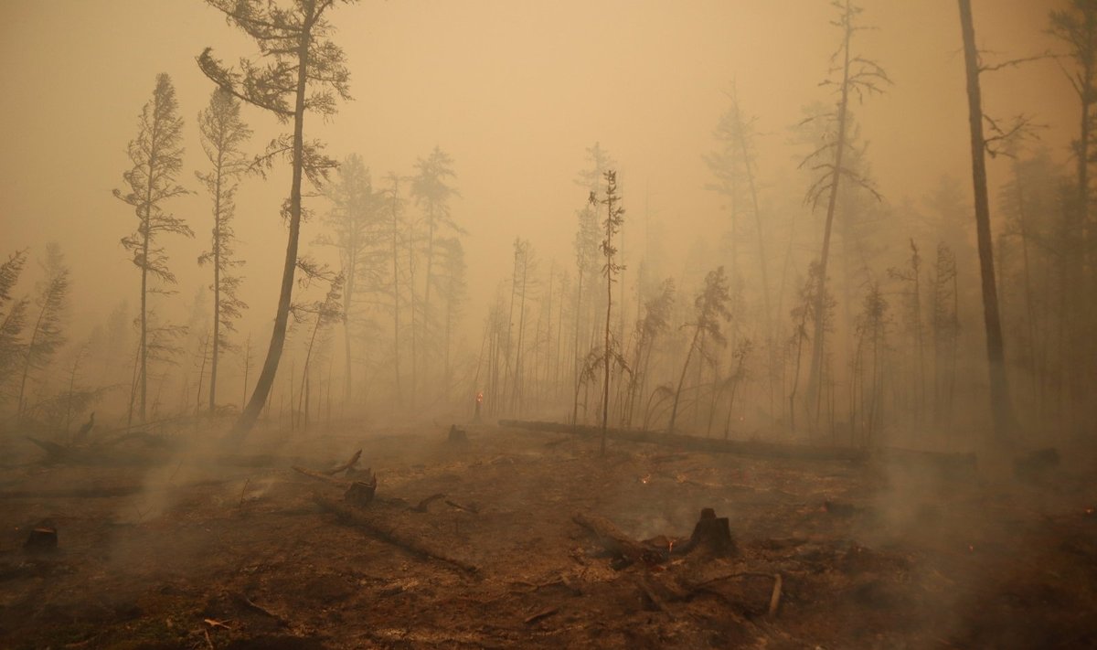 Rusijos Karelijoje dėl miško gaisro evakuojamas tūkstantį gyventojų turintis kaimas