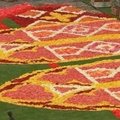 Iš šimtų tūkstančių begonijų Briuselyje sukurtas gėlių kilimas