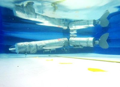 Mechaninis karpis neša jūrų robotiką į naujas gelmes 