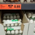 Сравнение цен на яйца в магазинах Литвы: что было в прошлом году