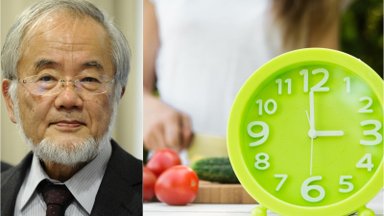 Nobelio premija apdovanota japoniška dieta „Mitybos langas“ gali padėti sureguliuoti svorį ir išsaugoti jaunatviškumą