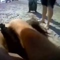 Vaizdo įraše – skandalingas merginos sulaikymas paplūdimyje