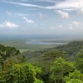 10 didžiausių pasaulio miškų