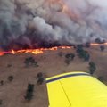 Australija dėl karščio bangos perspėja apie „katastrofišką“ gaisringumą