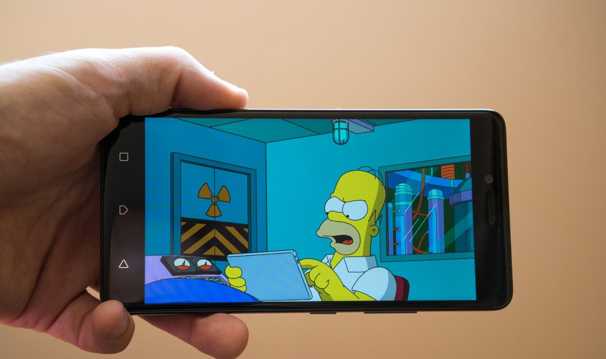 Serialo „Simpsonai“ kadras