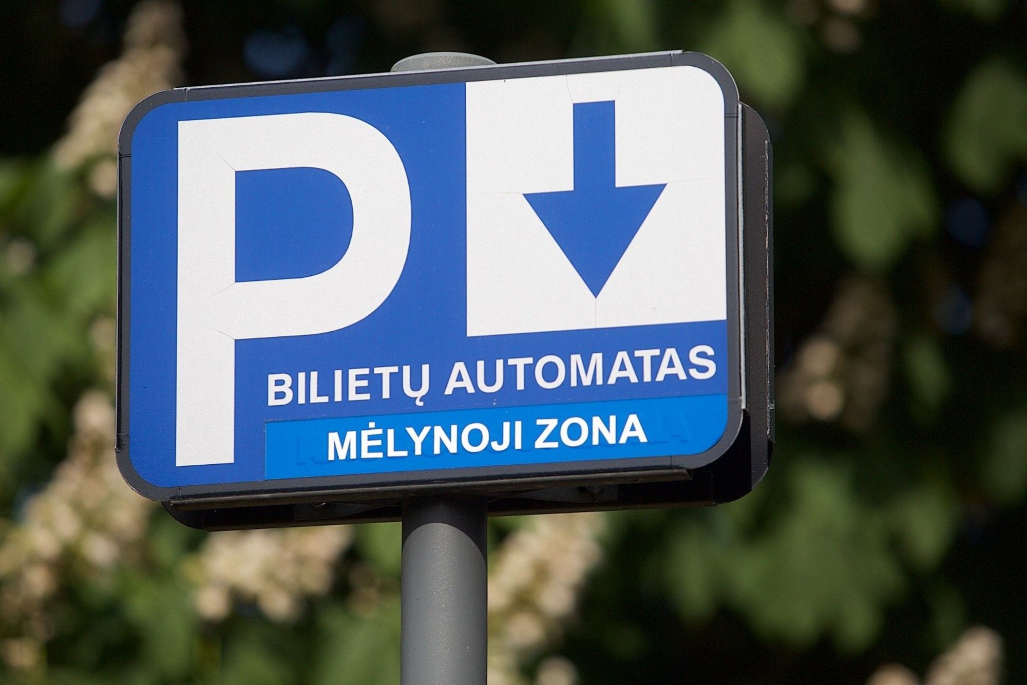 Vilniuje Automobiliai Bus Statomi Išmaniai - Delfi Verslas