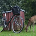 Danijoje dviračių daugiau nei žmonių