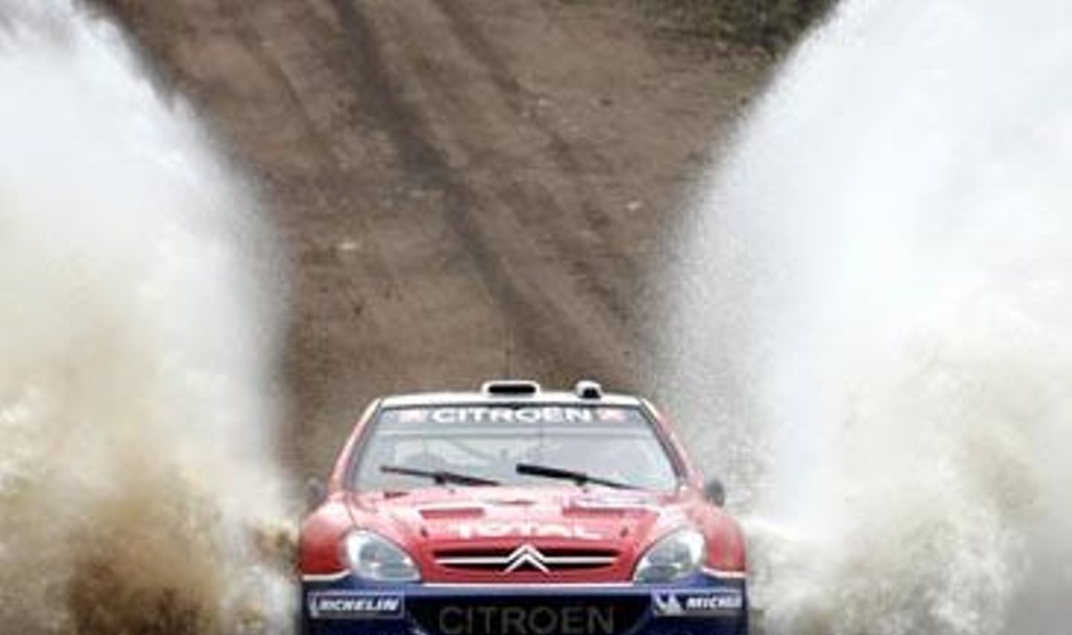 Sebastien Loeb ("Citroen Xsara WRC")