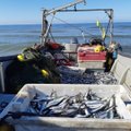 Dėmesys žvejybos kontrolei ir žuvų iškrovimams Baltijos jūroje
