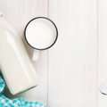 Vilkyškių pieninės pardavimai krito 10 proc.