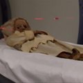 Kalifornijoje 300 metų senumo mumijoms bus atlikta virtuali autopsija