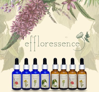 Eeffloressence cosmetics